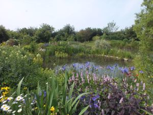 Stocked Lake- click for photo gallery